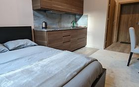 Apartment A1 In Downtown Of Krakow